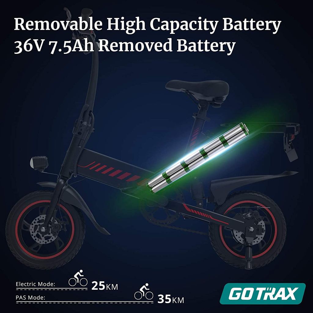 Gotrax Y1D Electric Bike